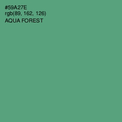 #59A27E - Aqua Forest Color Image