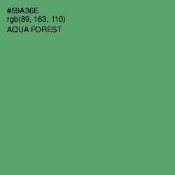 #59A36E - Aqua Forest Color Image
