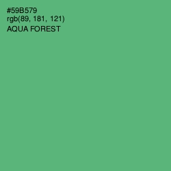 #59B579 - Aqua Forest Color Image