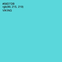 #59D7DB - Viking Color Image