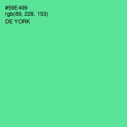 #59E499 - De York Color Image