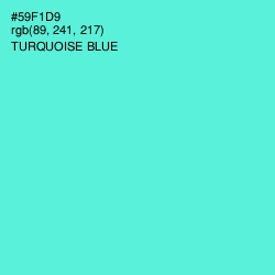 #59F1D9 - Turquoise Blue Color Image