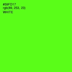 #59FD17 - Bright Green Color Image