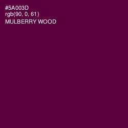#5A003D - Mulberry Wood Color Image