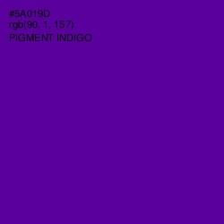 #5A019D - Pigment Indigo Color Image