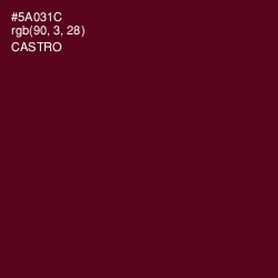 #5A031C - Castro Color Image