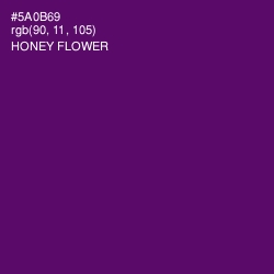 #5A0B69 - Honey Flower Color Image