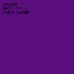 #5A0D7D - Honey Flower Color Image