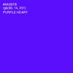 #5A0EFB - Purple Heart Color Image