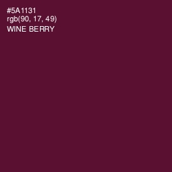 #5A1131 - Wine Berry Color Image