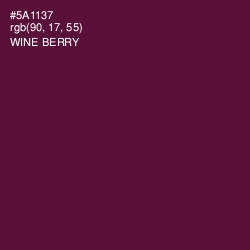 #5A1137 - Wine Berry Color Image
