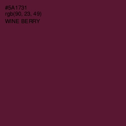 #5A1731 - Wine Berry Color Image