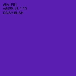 #5A1FB1 - Daisy Bush Color Image