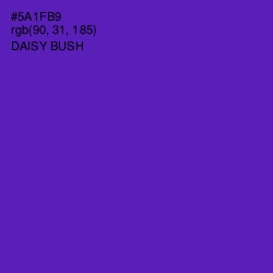 #5A1FB9 - Daisy Bush Color Image