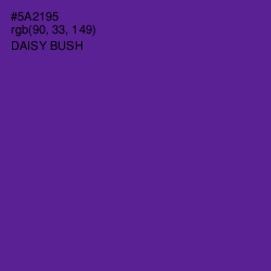 #5A2195 - Daisy Bush Color Image