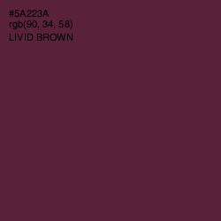 #5A223A - Livid Brown Color Image