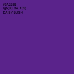 #5A228B - Daisy Bush Color Image