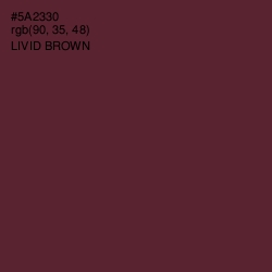 #5A2330 - Livid Brown Color Image