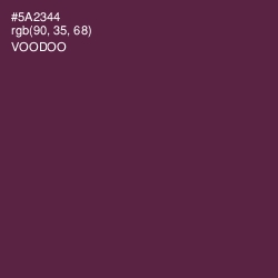 #5A2344 - Voodoo Color Image