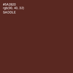 #5A2820 - Saddle Color Image