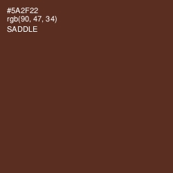 #5A2F22 - Saddle Color Image