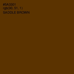 #5A3301 - Saddle Brown Color Image