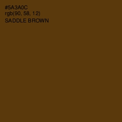 #5A3A0C - Saddle Brown Color Image