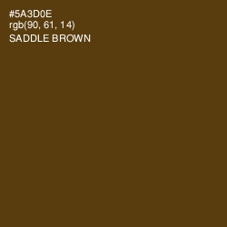 #5A3D0E - Saddle Brown Color Image