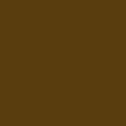 #5A3D0F - Saddle Brown Color Image