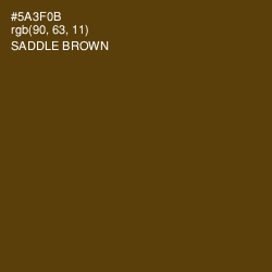#5A3F0B - Saddle Brown Color Image