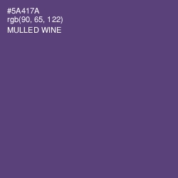 #5A417A - Mulled Wine Color Image