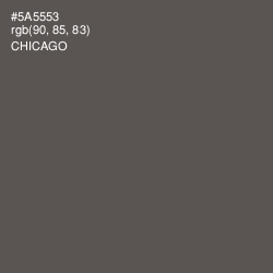 #5A5553 - Chicago Color Image