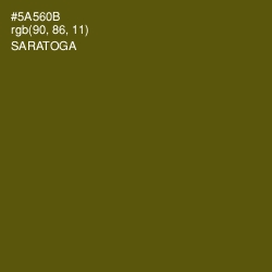 #5A560B - Saratoga Color Image