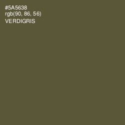 #5A5638 - Verdigris Color Image