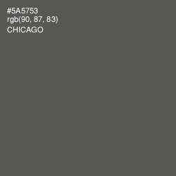 #5A5753 - Chicago Color Image