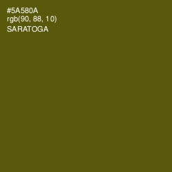 #5A580A - Saratoga Color Image