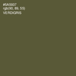 #5A5937 - Verdigris Color Image