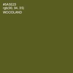 #5A5E23 - Woodland Color Image