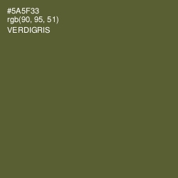 #5A5F33 - Verdigris Color Image