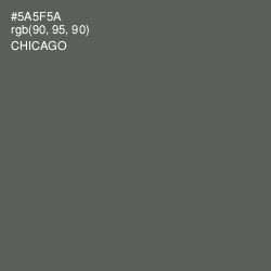#5A5F5A - Chicago Color Image