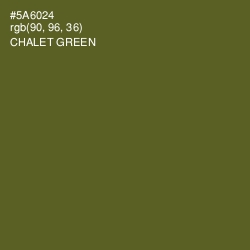 #5A6024 - Chalet Green Color Image