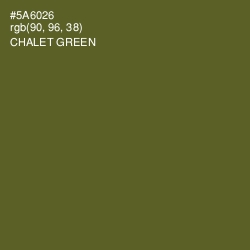 #5A6026 - Chalet Green Color Image