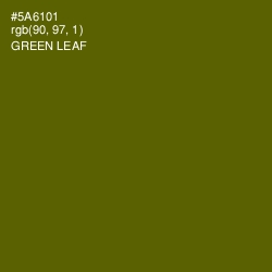 #5A6101 - Green Leaf Color Image