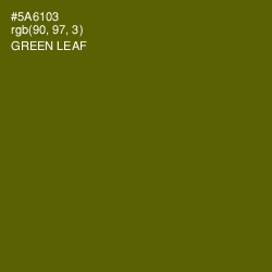 #5A6103 - Green Leaf Color Image