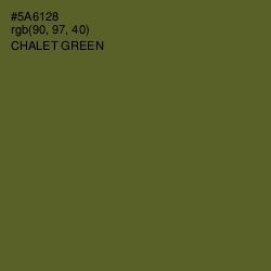 #5A6128 - Chalet Green Color Image