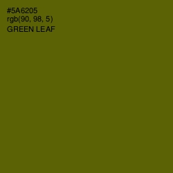 #5A6205 - Green Leaf Color Image