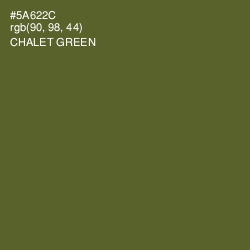 #5A622C - Chalet Green Color Image