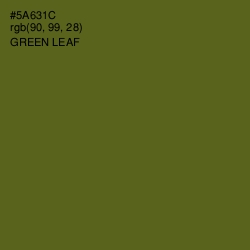 #5A631C - Green Leaf Color Image