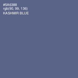 #5A6388 - Kashmir Blue Color Image