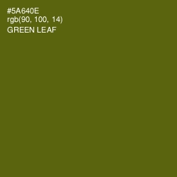 #5A640E - Green Leaf Color Image